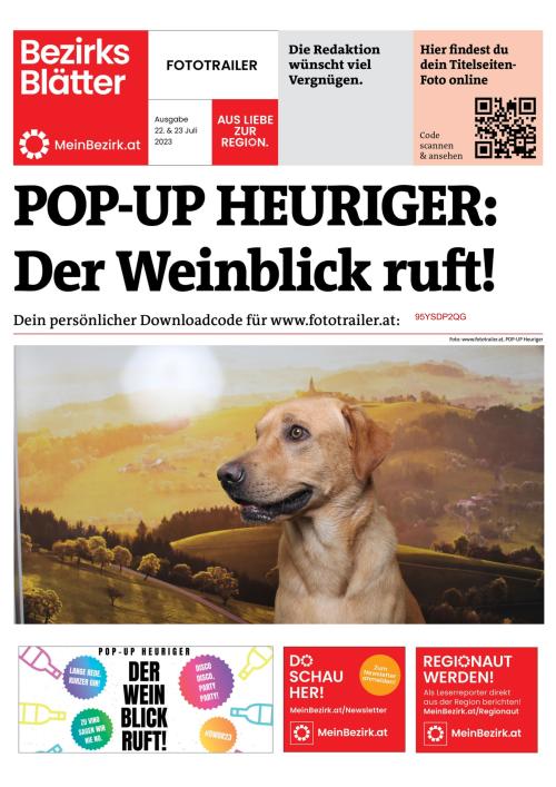 95YSDP2QGBZN_20230723165010