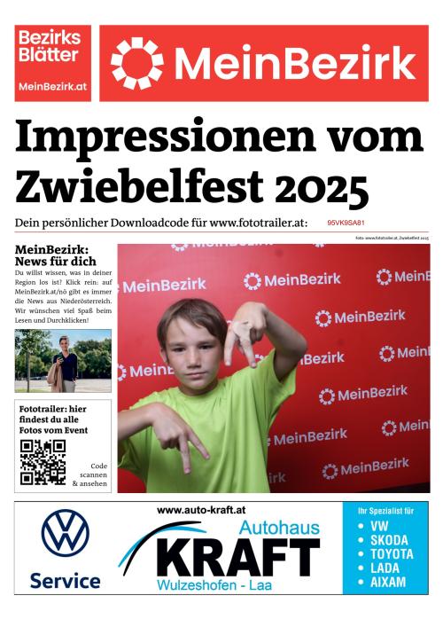 95VK9SA81BZN_20250816175115